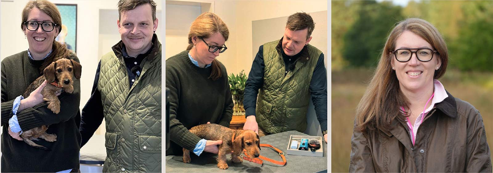 Fellpflege Videos vom Hamburger Hundefriseur