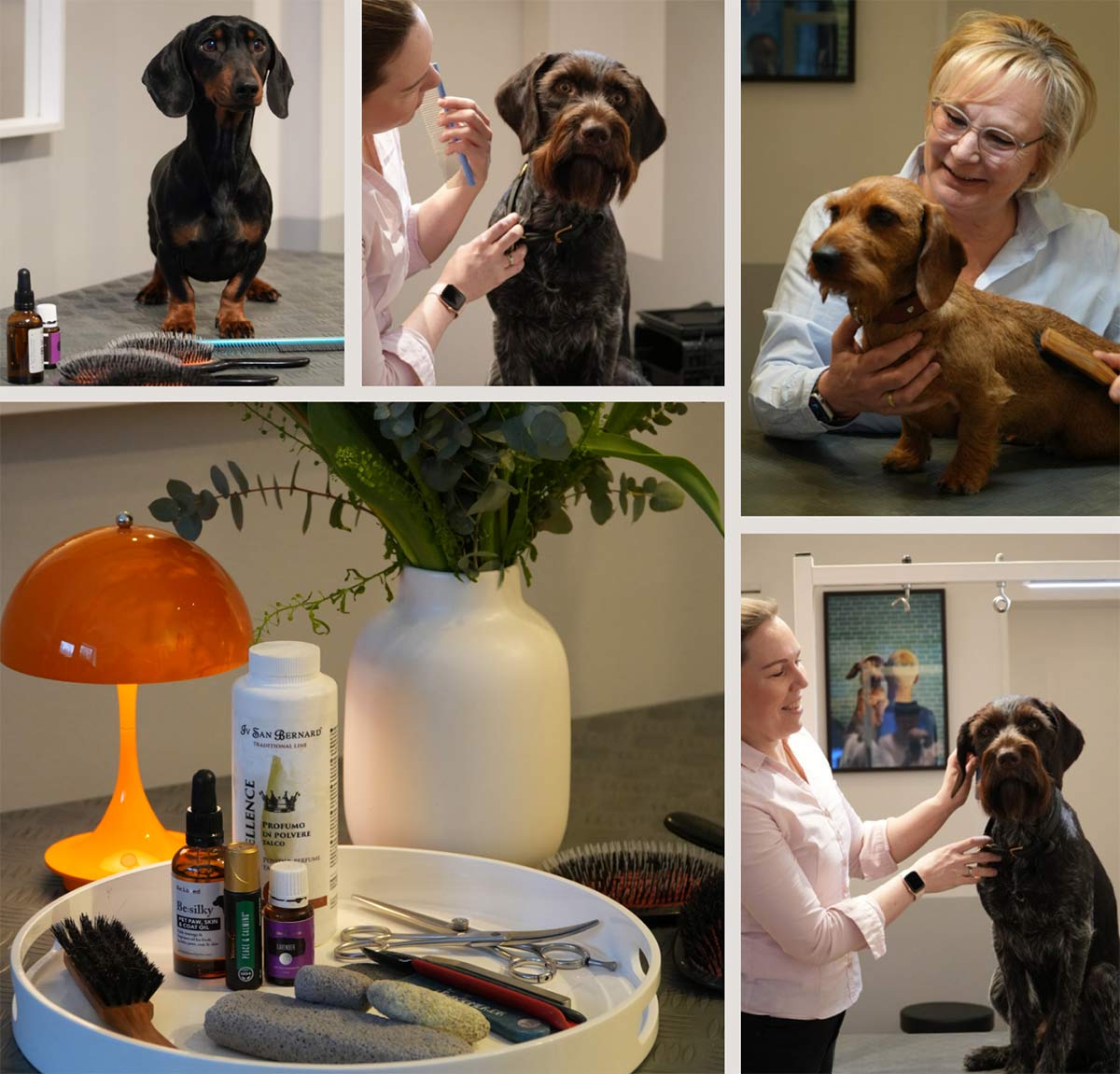 Preise Hamburger Hundefriseur