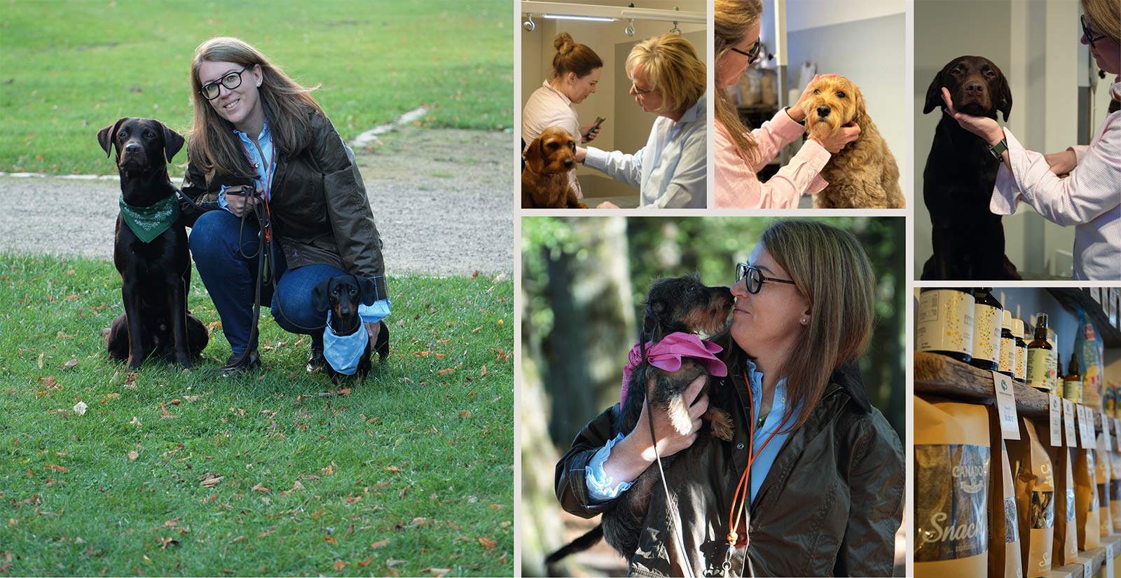 Hamburger Hundefriseur Startbild