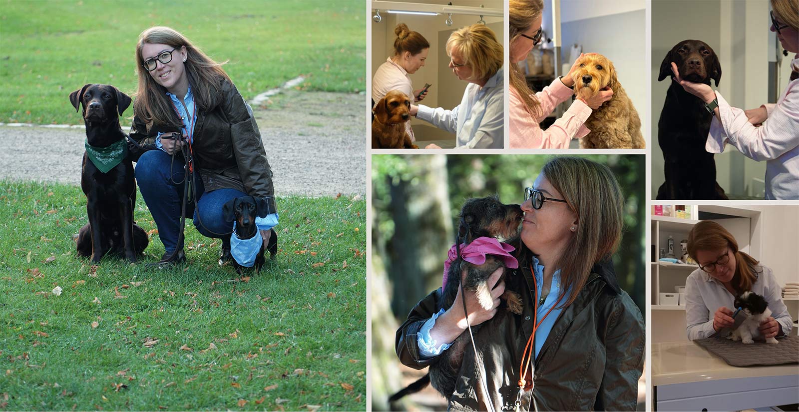 Hamburger Hundefriseur Startbild